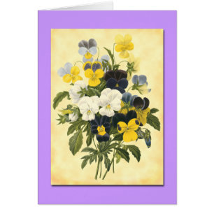 Pansy Violets Blank Botanical Art Cards