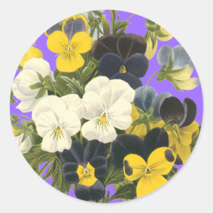 Pansy Violets Botanical Art Stickers