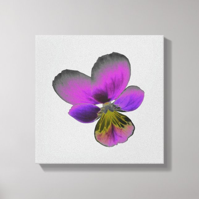 Pansy Wild Dark Purple Canvas Print (Front)