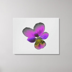 Pansy Wild Dark Purple Canvas Print