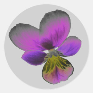 Pansy Wild Dark Purple Sticker