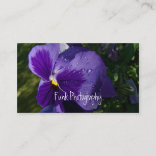 Pansy with Water Droplets Business Card