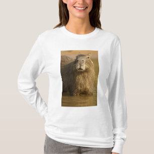 Pantanal, Brazil, Capybara, Hydrochoerus T-Shirt