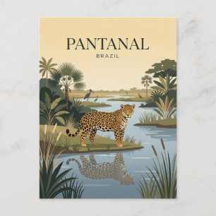 Pantanal Brazil Postcard