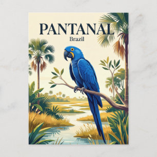 Pantanal Brazil Postcard