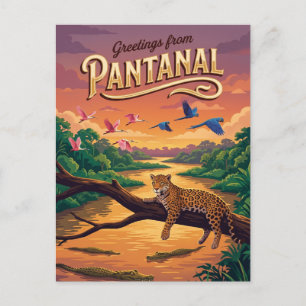 Pantanal Brazil Postcard