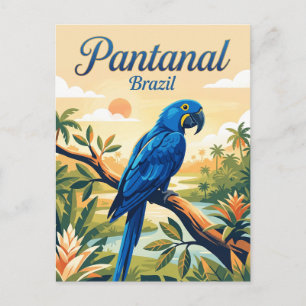 Pantanal Brazil Postcard