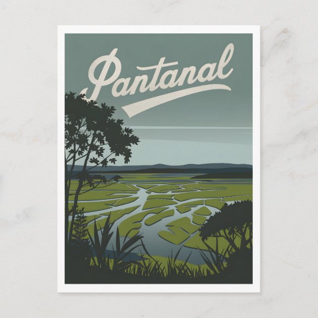 Pantanal tropical wetlands postcard (Front)