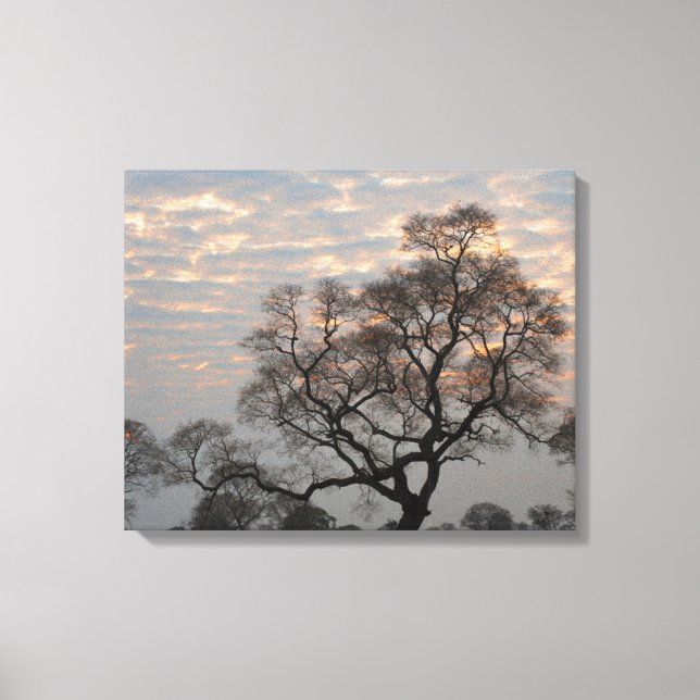 Pantanal Wetlands | South America, Brazil Canvas Print (Front)