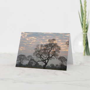 Pantanal Wetlands   South America, Brazil Card