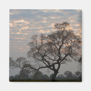 Pantanal Wetlands   South America, Brazil Magnet