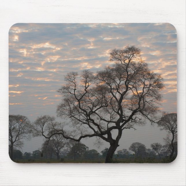 Pantanal Wetlands | South America, Brazil Mouse Mat (Front)