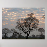 Pantanal Wetlands | South America, Brazil