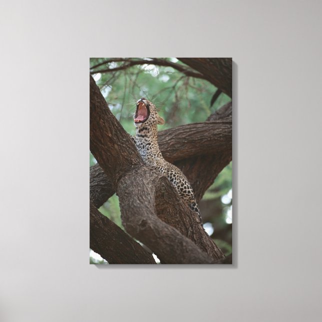 Panther Canvas Print (Front)