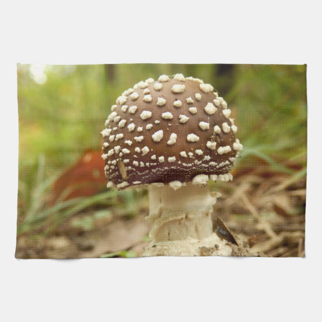 Panther Cap Mushroom Tea Towel (Horizontal)