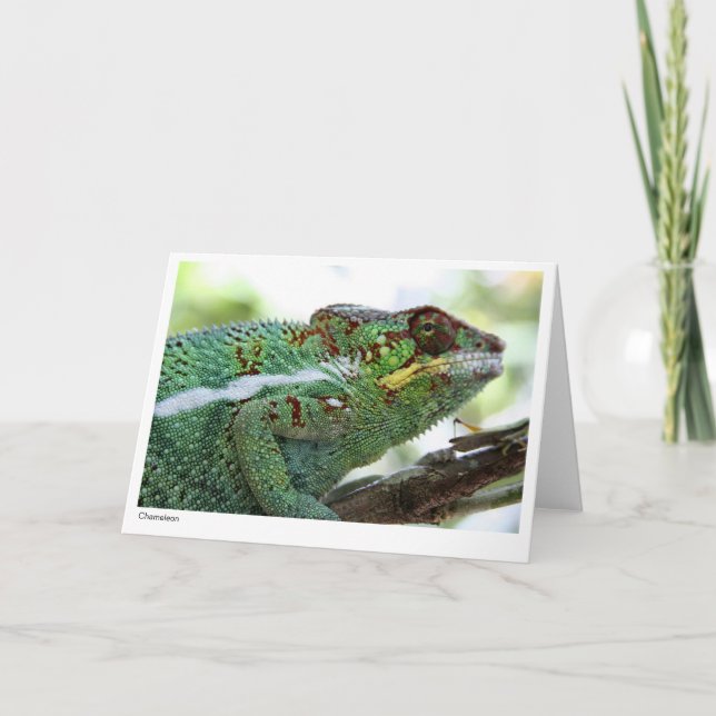 Panther chameleon Gift Card (Front)