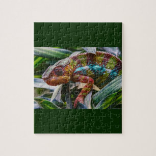 Panther Chameleon Jigsaw Puzzle