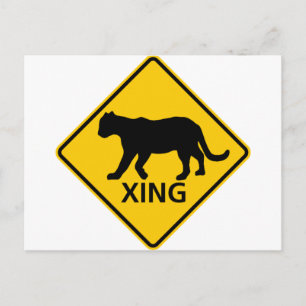 Panther Crossing Highway Sign Postcard