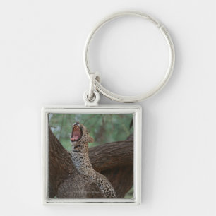 Panther Key Ring