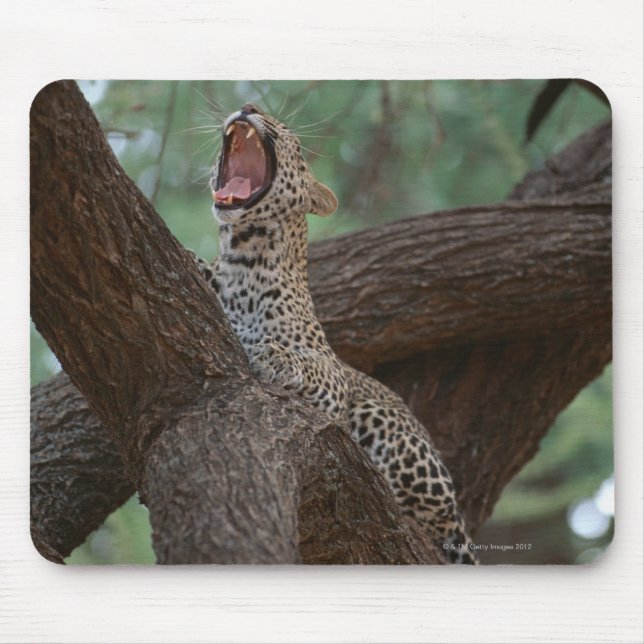 Panther Mouse Mat (Front)