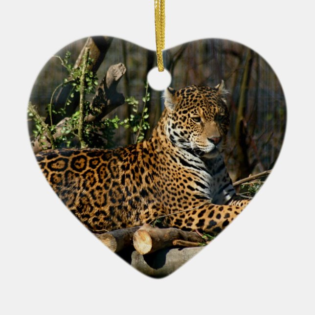 Panthera Jaguar Ornament (Front)