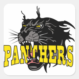 Panthers Square Sticker