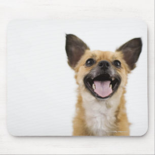 Panting dog mouse mat