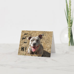 Panting Pitbull Hi Notecard