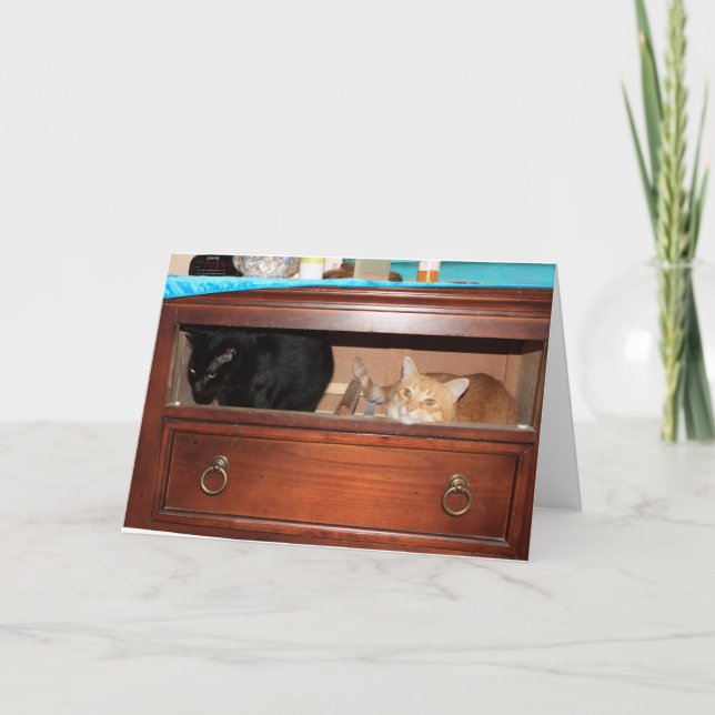 Panty Raid Card (Front)