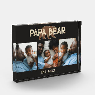 Papa Bear Father Year Established 3 Photo Block