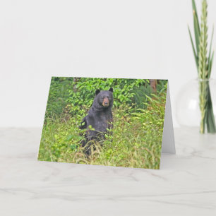 Papa Bear Father's Day Card