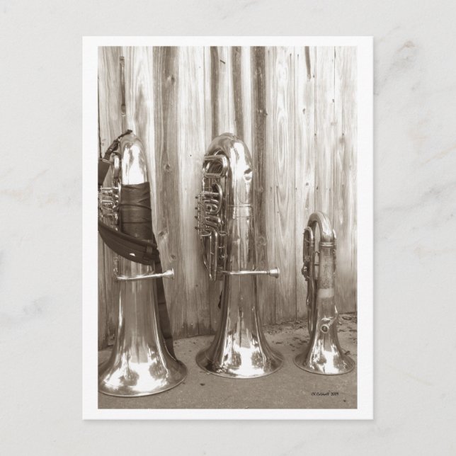 Papa Tuba, Mama Tuba and Baby Tuba Postcard (Front)