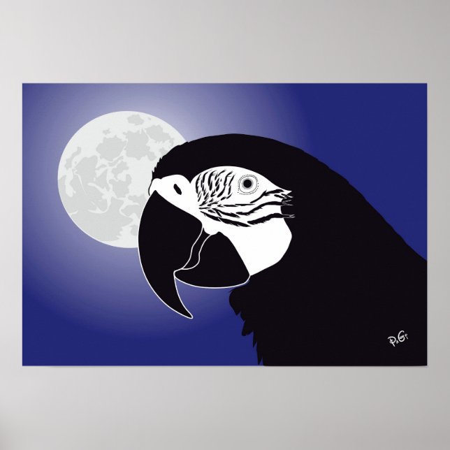 Papagei Ara Poster (Front)