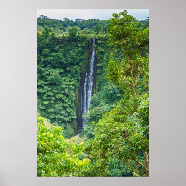 Papapaitai Waterfall In Jungle Poster (Front)