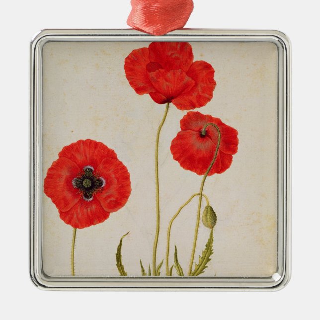Papavar rhoeas, c.1568 metal tree decoration (Front)