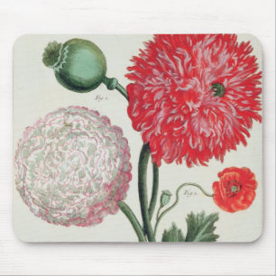 Papaver somniferum and Papaver rheas engraved by G Mouse Mat