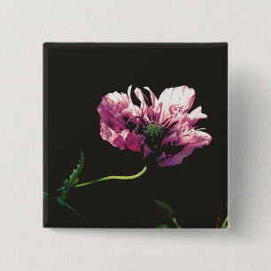 Papaver Sugarplum 15 Cm Square Badge