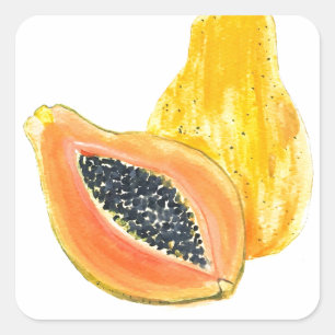 Papaya watercolour square sticker