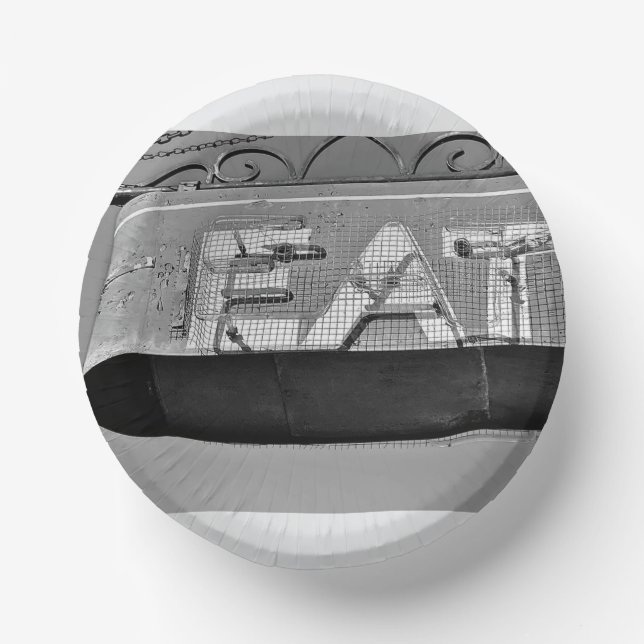 Paper Bowl for Teen/Adult Party Plate (Front)