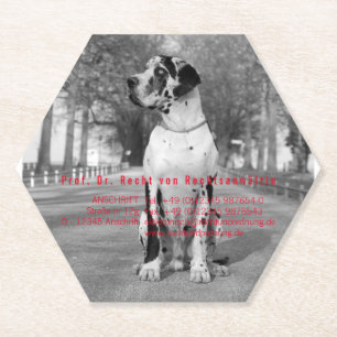 Paper Coasters for photographers