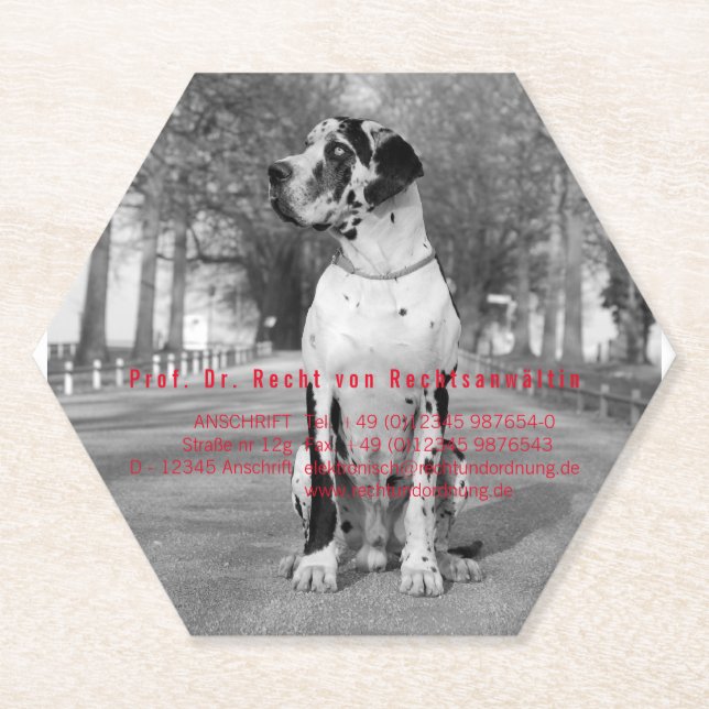 Paper Coasters for photographers (Front)