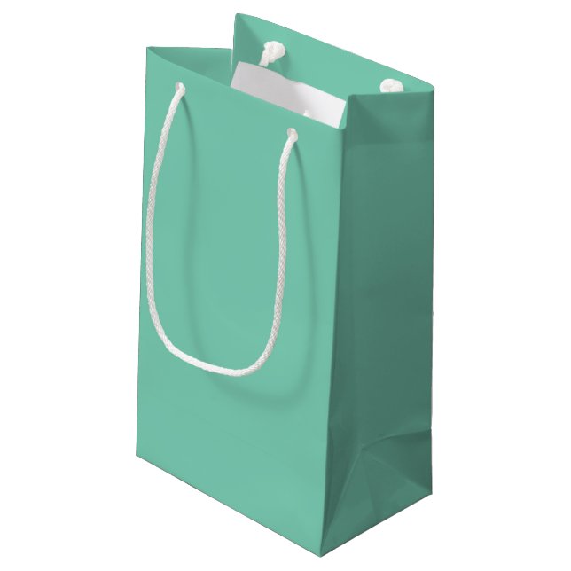 Paper Gift Bag (Back Angled)