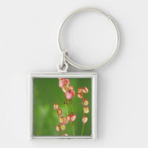 Paper Hearts (Rumex Woodii), Ukhahlamba Key Ring