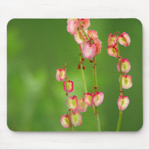 Paper Hearts (Rumex Woodii), Ukhahlamba Mouse Mat