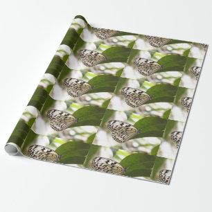 Paper Kite Butterfly