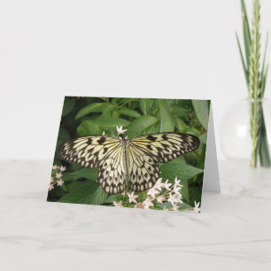 Paper Kite Butterfly Greeting Card
