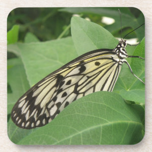 Paper Kite Butterfly Macro Cork Coasters