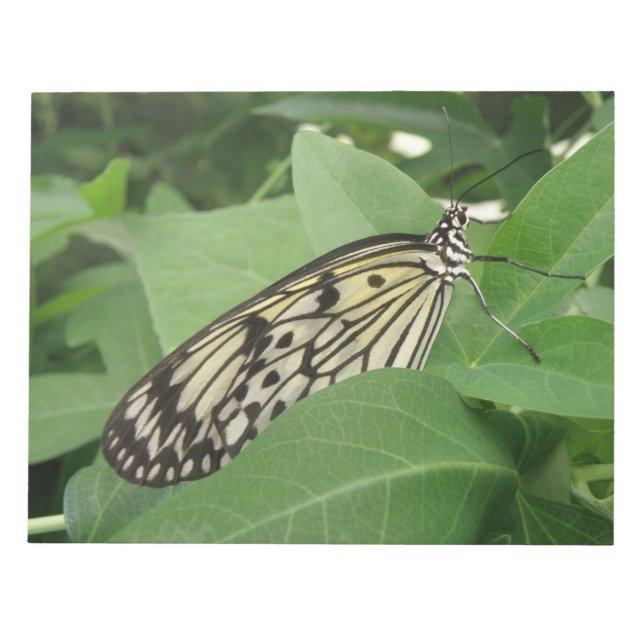 Paper Kite Butterfly Macro Notepad (Front)