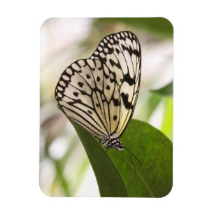 Paper kite butterfly  magnet