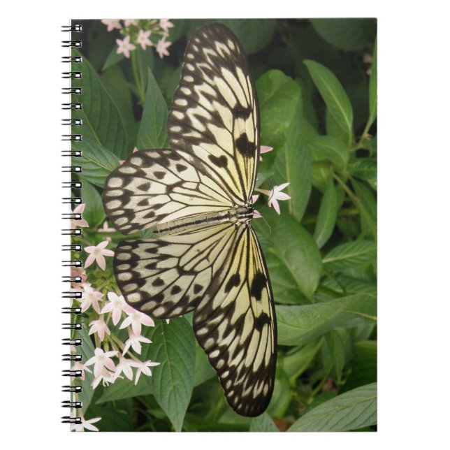 Paper Kite Butterfly Notebook (Front)